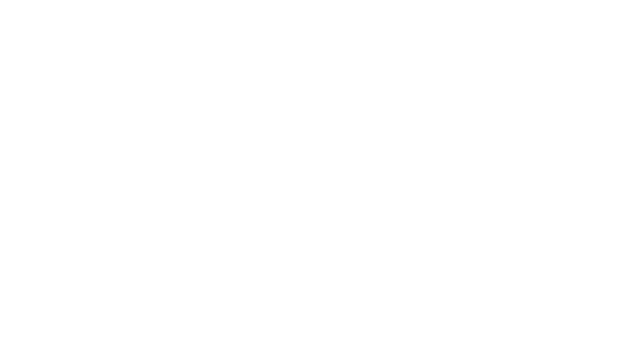 the business report