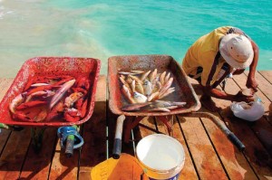 Os céus de Cabo Verde estão em constante expansão