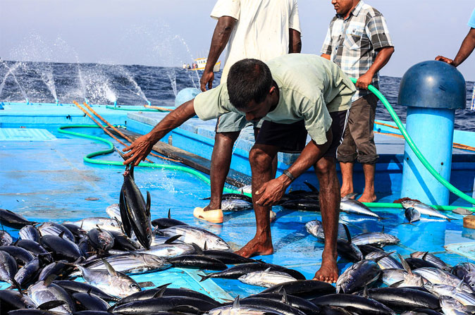 The social dimension of the Maldivian sea