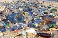 Canada bans single-use plastics