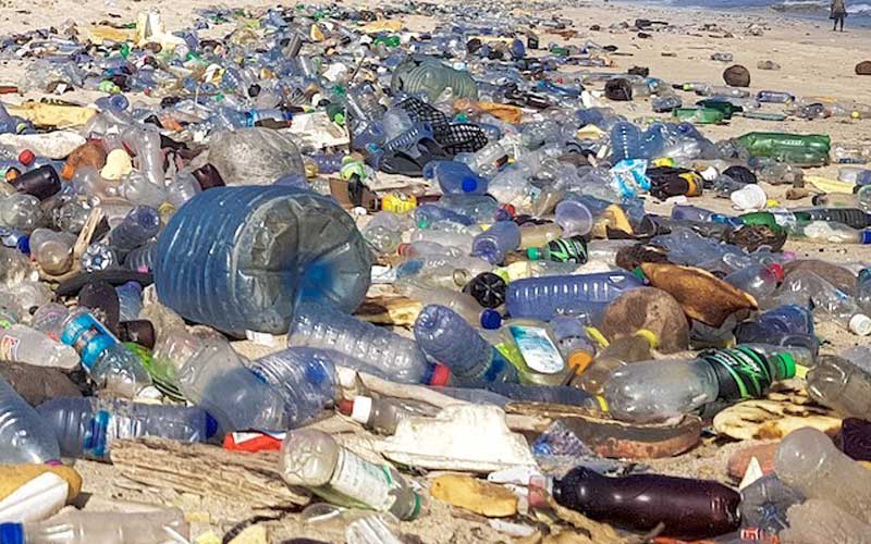 Canada bans single-use plastics