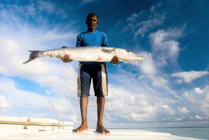 The world’s most sustainable fisheries call for support