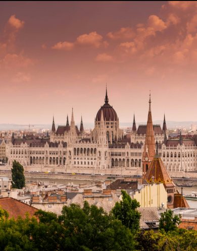The Business Report - Hungary 2024